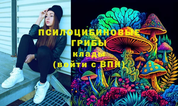 дмт Абинск