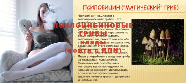 винт Абдулино