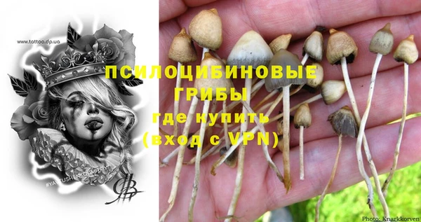 шишки Алексин