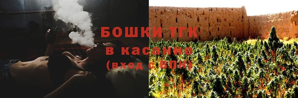 шишки Алексин