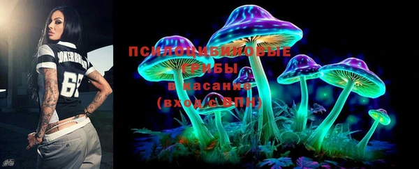 шишки Алексин