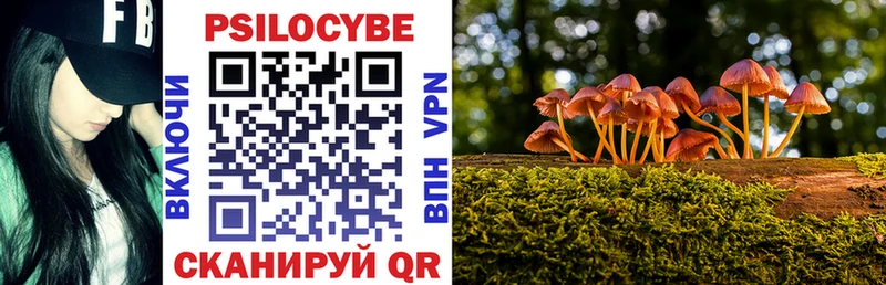 hydra онион  Новотитаровская  Псилоцибиновые грибы мухоморы  купить наркотики цена 